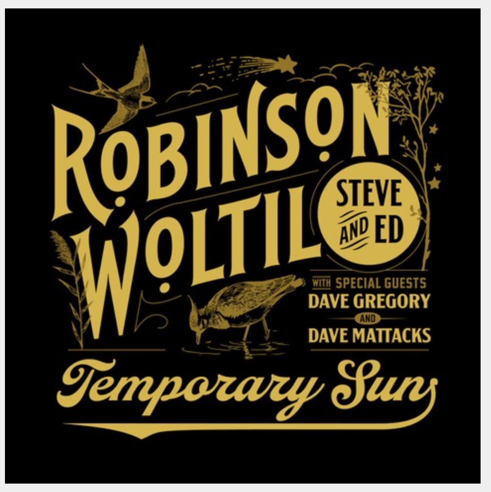 steverobinson review